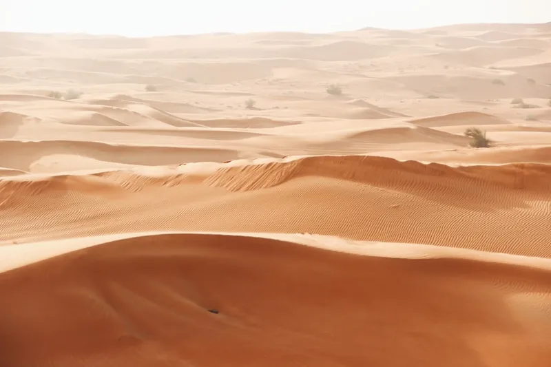 What to Wear on a Desert Safari