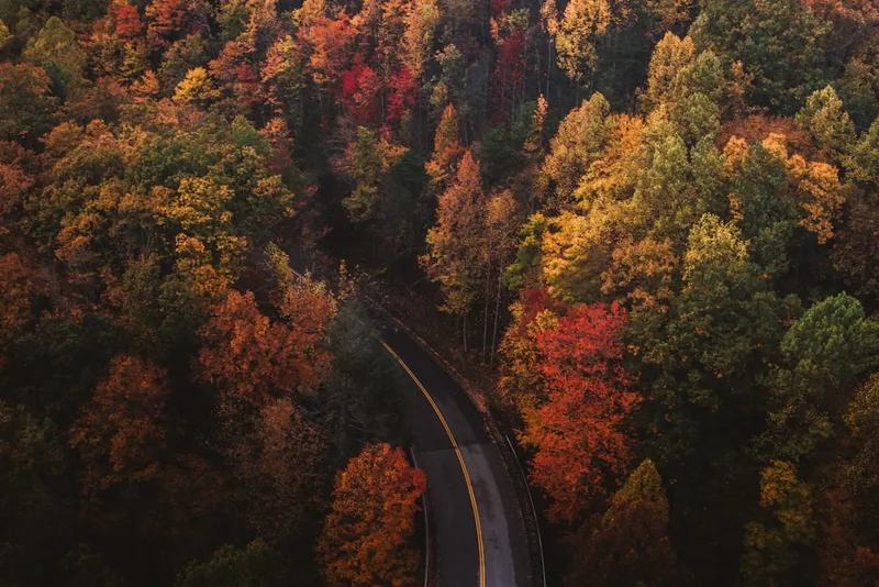 Autumn 2026 Travel Trends