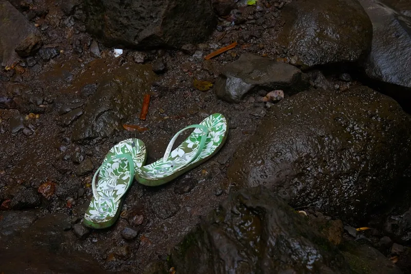 The Havaianas Rule