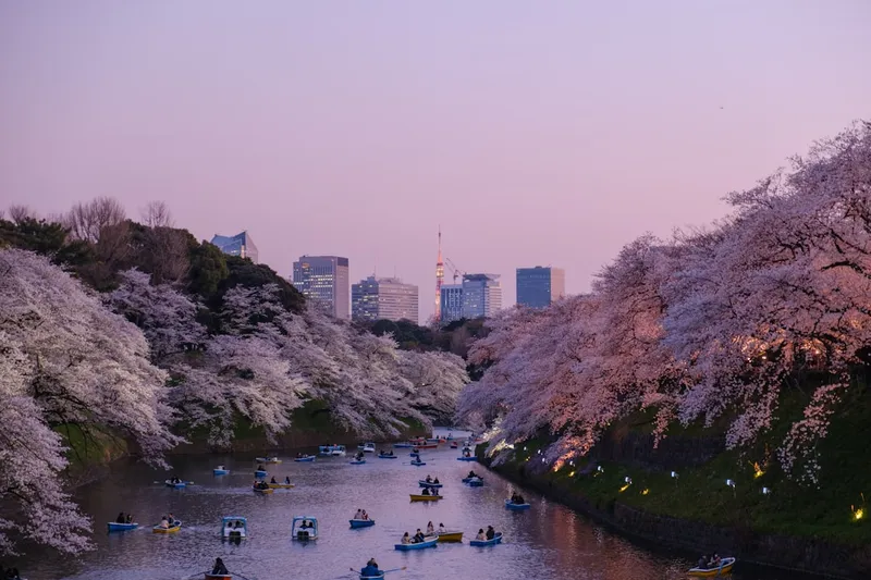 What to Pack for Japan in Spring